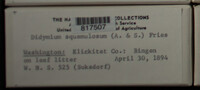 Image Associated With the Occurence